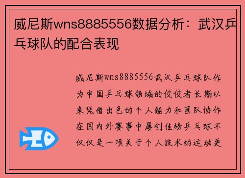 威尼斯wns8885556数据分析：武汉乒乓球队的配合表现