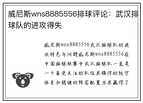威尼斯wns8885556排球评论：武汉排球队的进攻得失